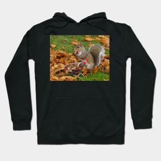 squirrel with shopping cart Hoodie